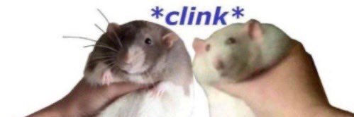 not a rrat🚫🐀 banner