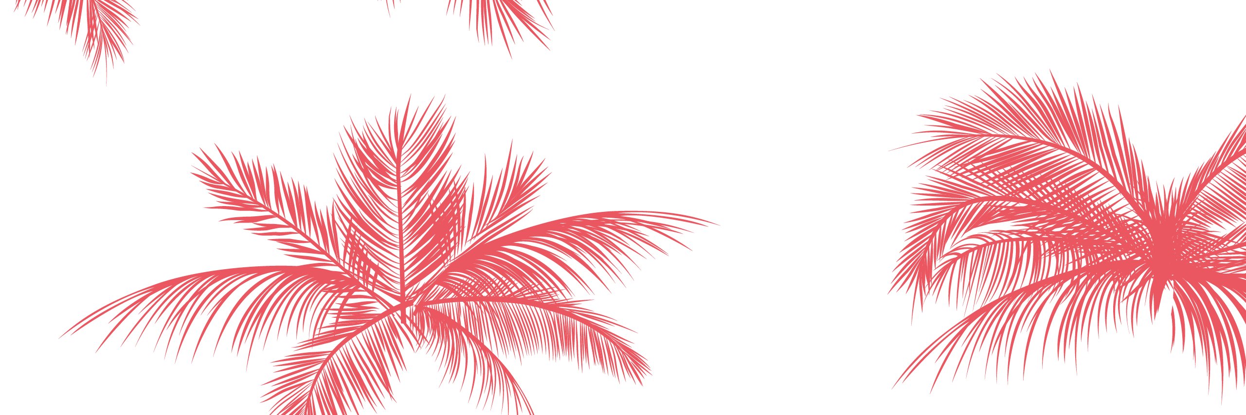 sofisle's profile banner image