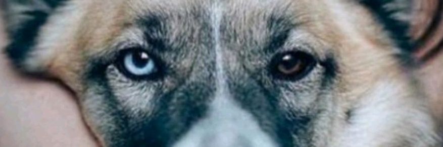 ArisGhfari's profile banner image