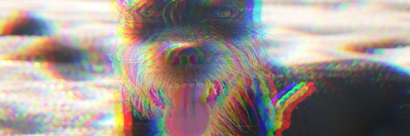 MACgh's profile banner image