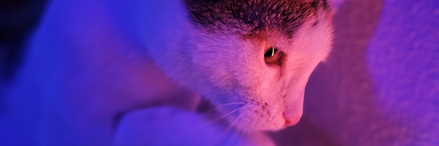 Augenhaber's profile banner image