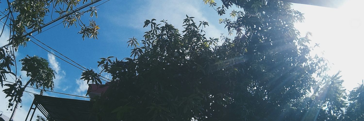 InezPtri's profile banner image