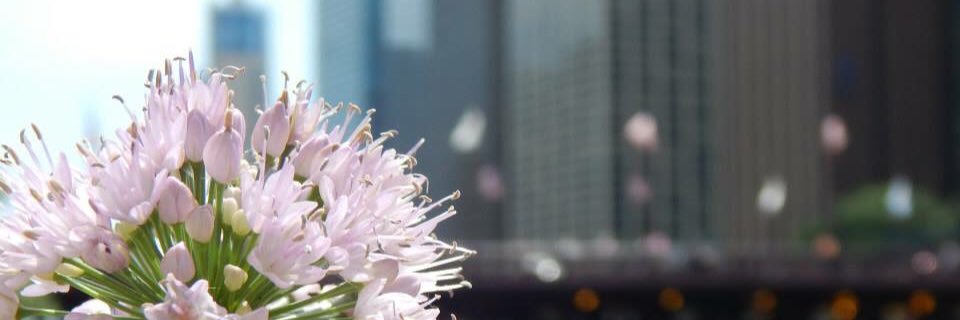 Treev501's profile banner image