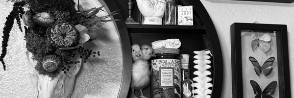 homicidalhailey Profile Banner