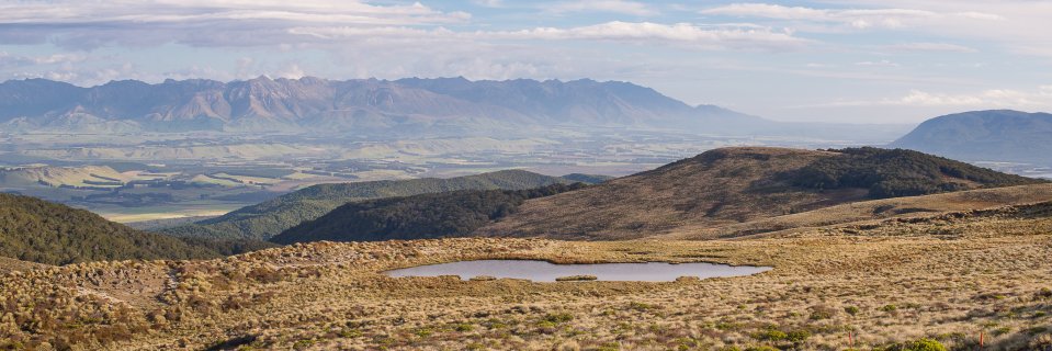 Shani Elharrar banner