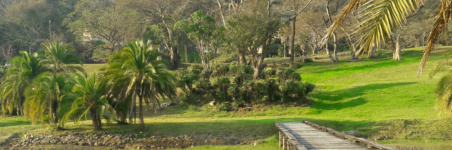 King Alfred 👑 banner