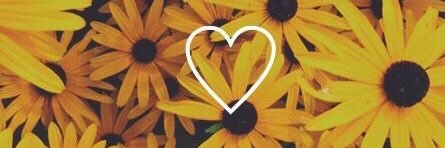 ciaraviray's profile banner image