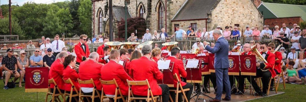 The Reg Vardy Band banner