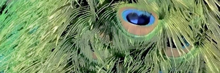 glittery3779's profile banner image
