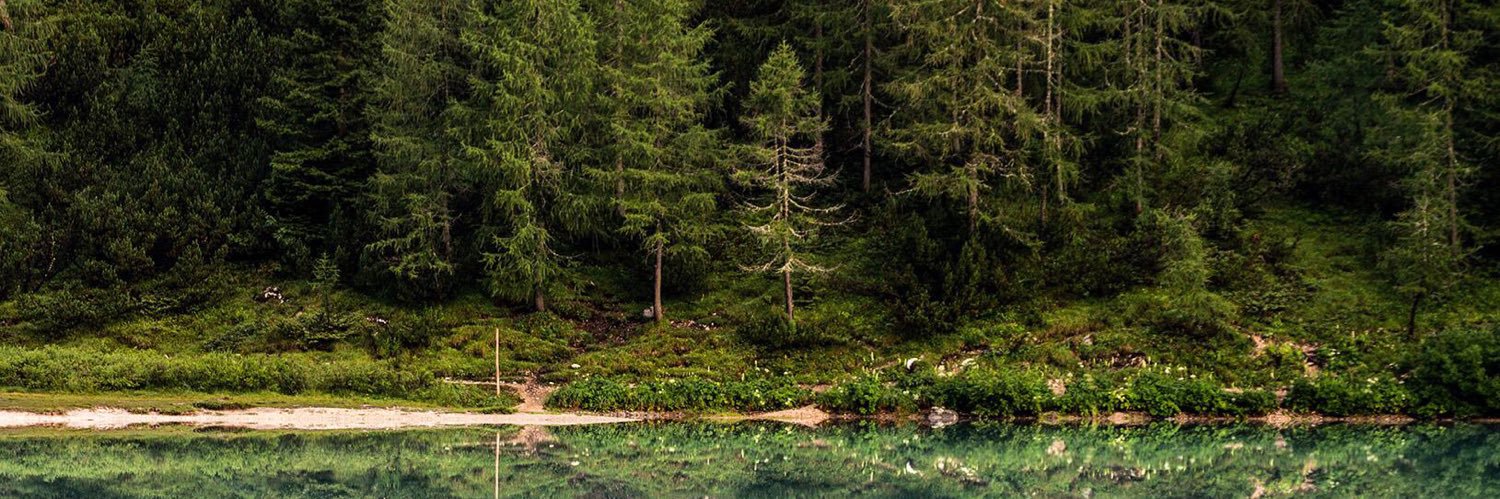 thomasseitz5's profile banner image