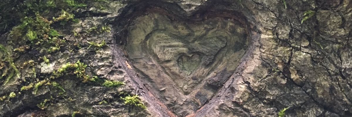 Kelly_Cox_'s profile banner image