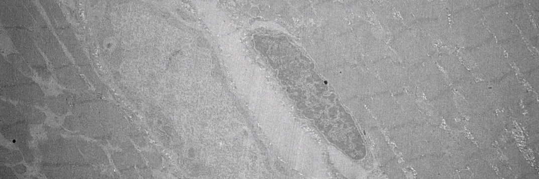 Jeremy Pearson, PhD banner