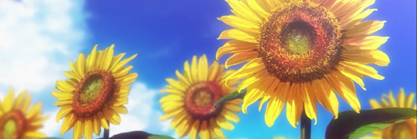 sunniecha's profile banner image