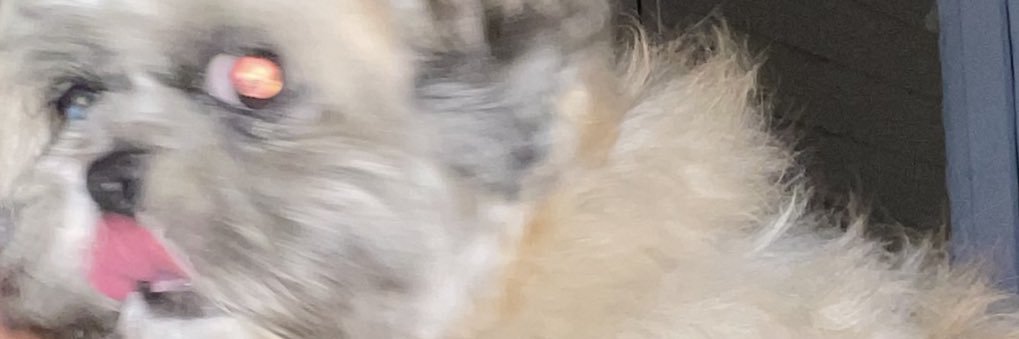 atheneembang's profile banner image