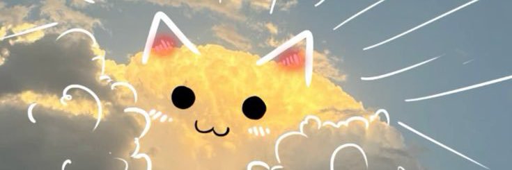 carvdoc11's profile banner image