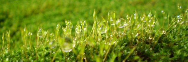 Nitin_kumar1's profile banner image