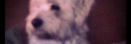 Francisco Balbuena banner