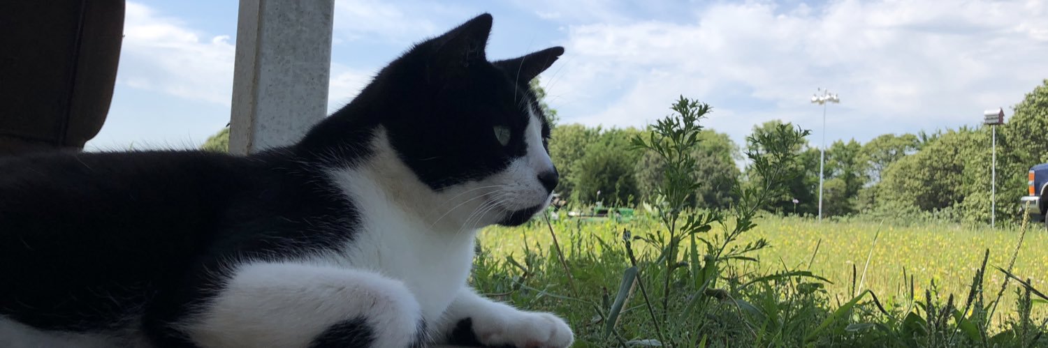 KatelinJaaane's profile banner image