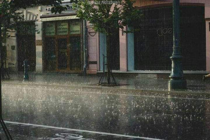 Anahí Campos banner