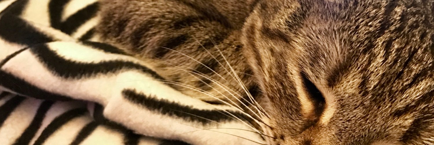 martineno's profile banner image