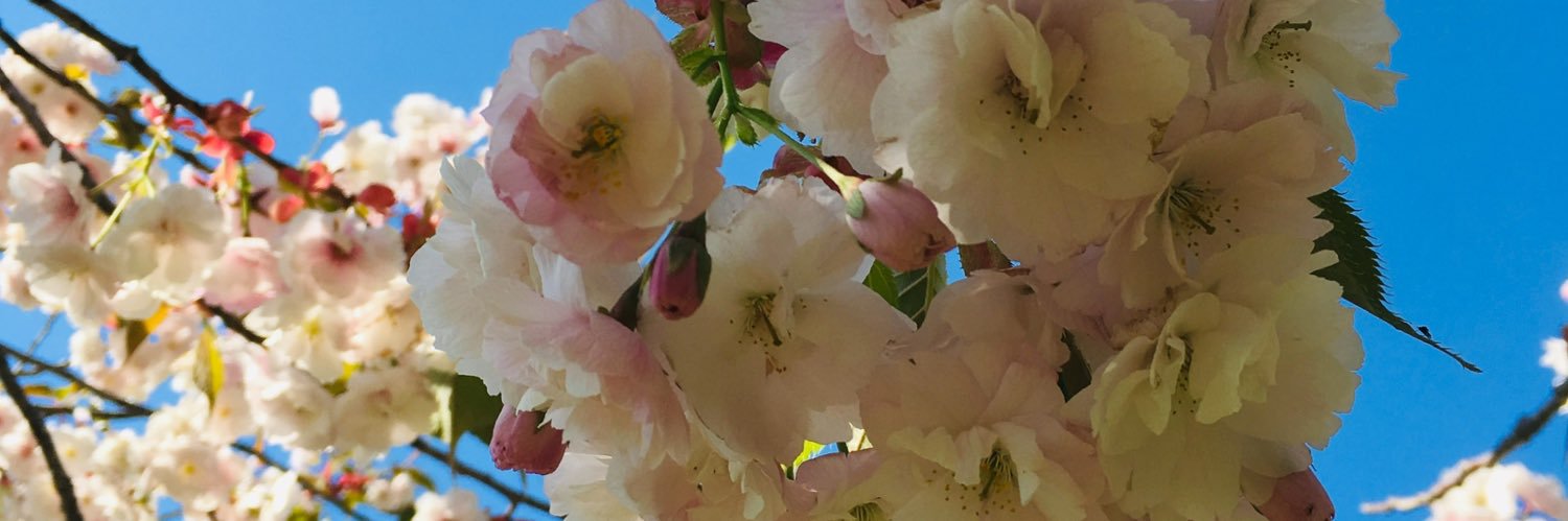 finefine_u's profile banner image