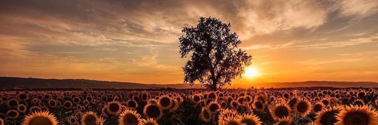 🇯🇴بدر نزال🇯🇴 banner