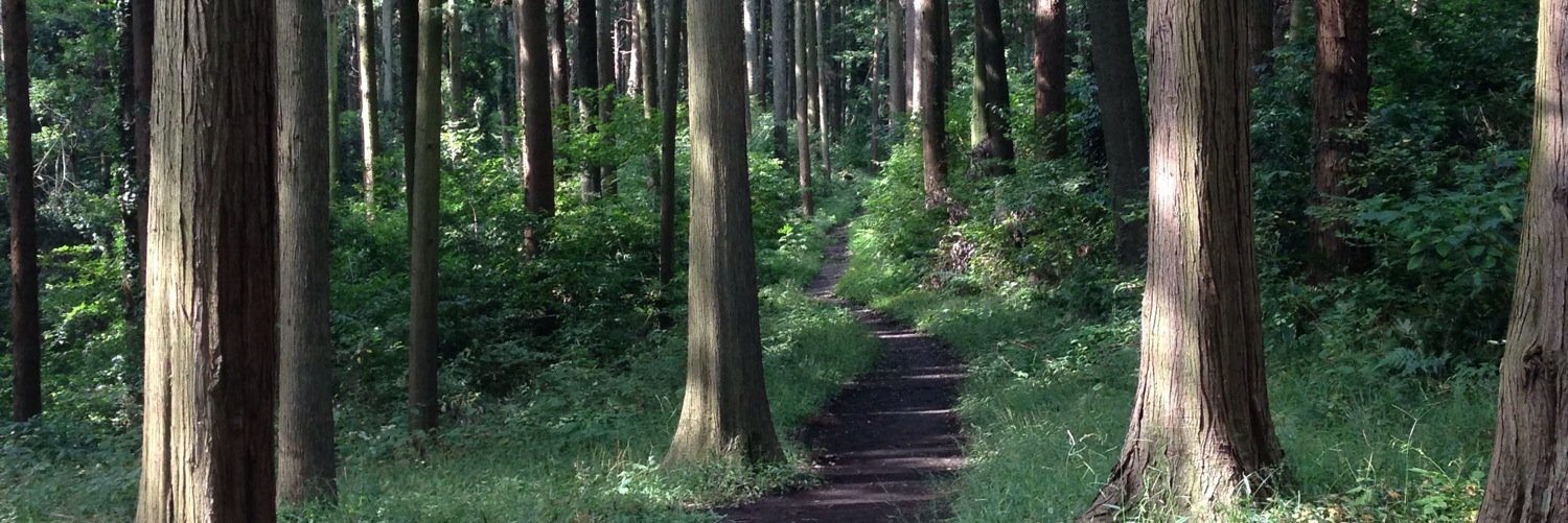 東みちよ横浜市会議員(自民党|鶴見区) banner
