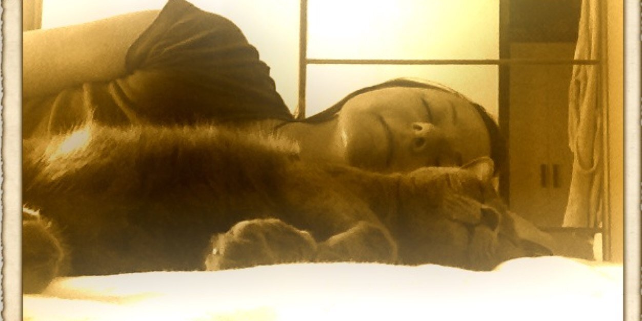 sara deplano banner
