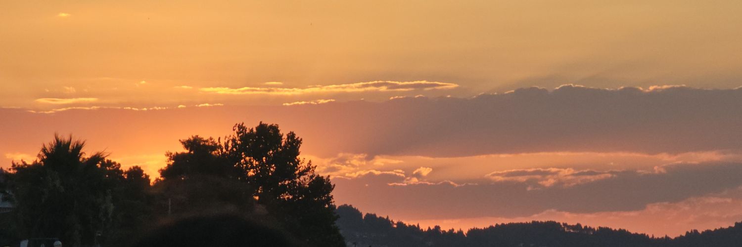DJvanDijk2302's profile banner image