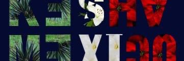 KeshaMex's profile banner image