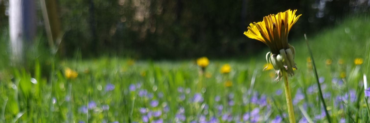 akxi's profile banner image