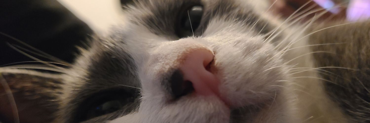 Corryass's profile banner image
