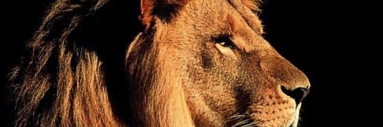 j2jareda's profile banner image