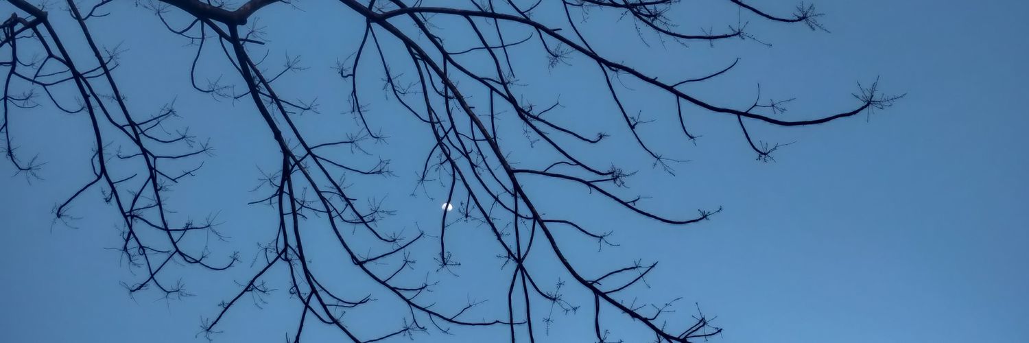 Sir Grumps A Lot banner