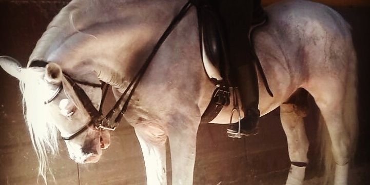 ClaraMoreo's profile banner image