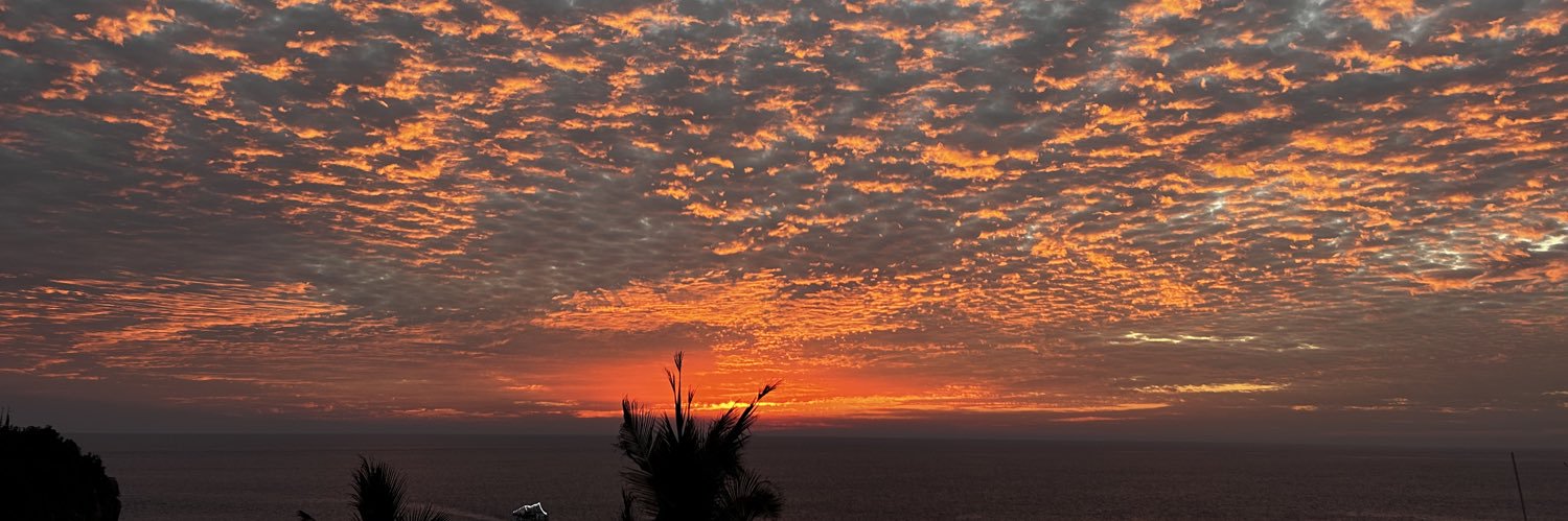 Covadonga Gomez 🇲🇽 banner