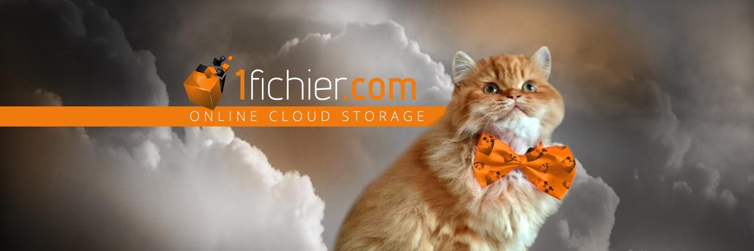 1fichier.com banner