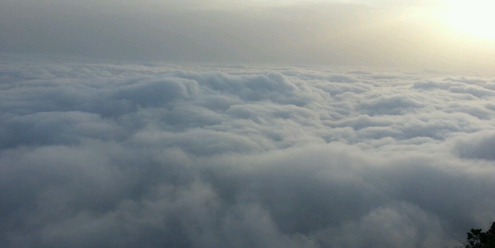 HFLY810's profile banner image