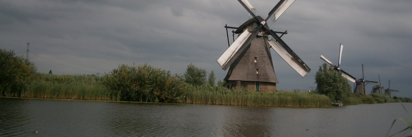 windboee's profile banner image