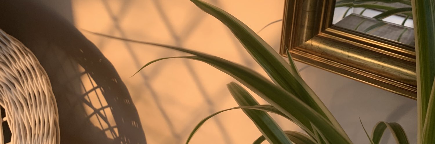avafaye_'s profile banner image