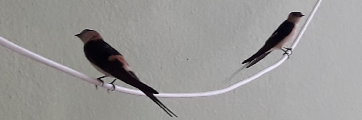 Emrah 🇹🇷 banner