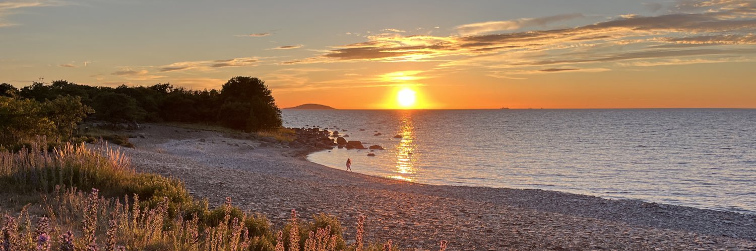 Jonas Wide 🌻 banner