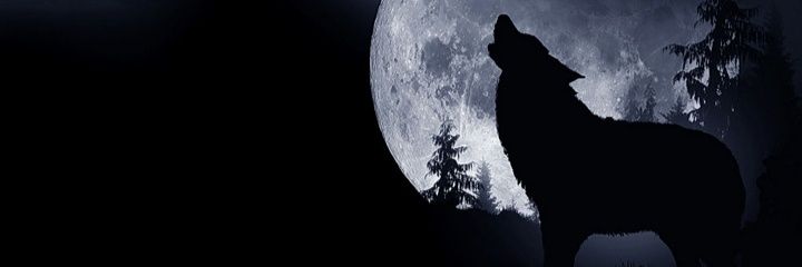 Luiiswarrior's profile banner image