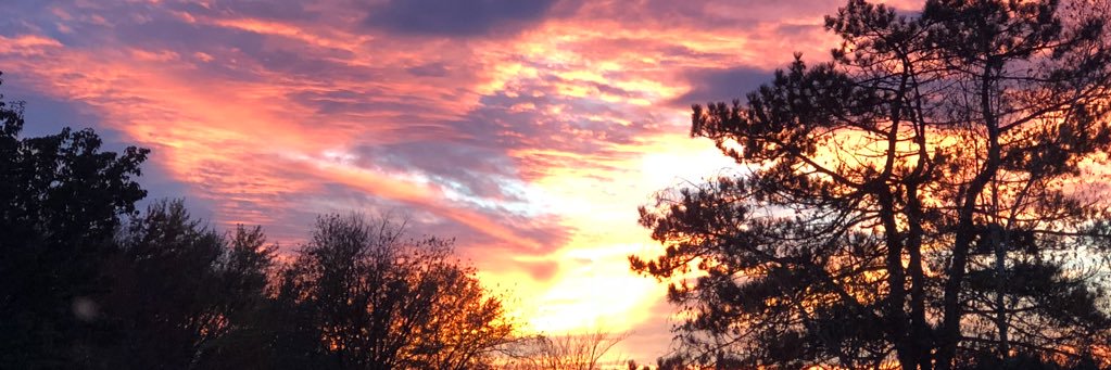 Francis Corchado banner