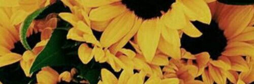 SaneMdudo's profile banner image