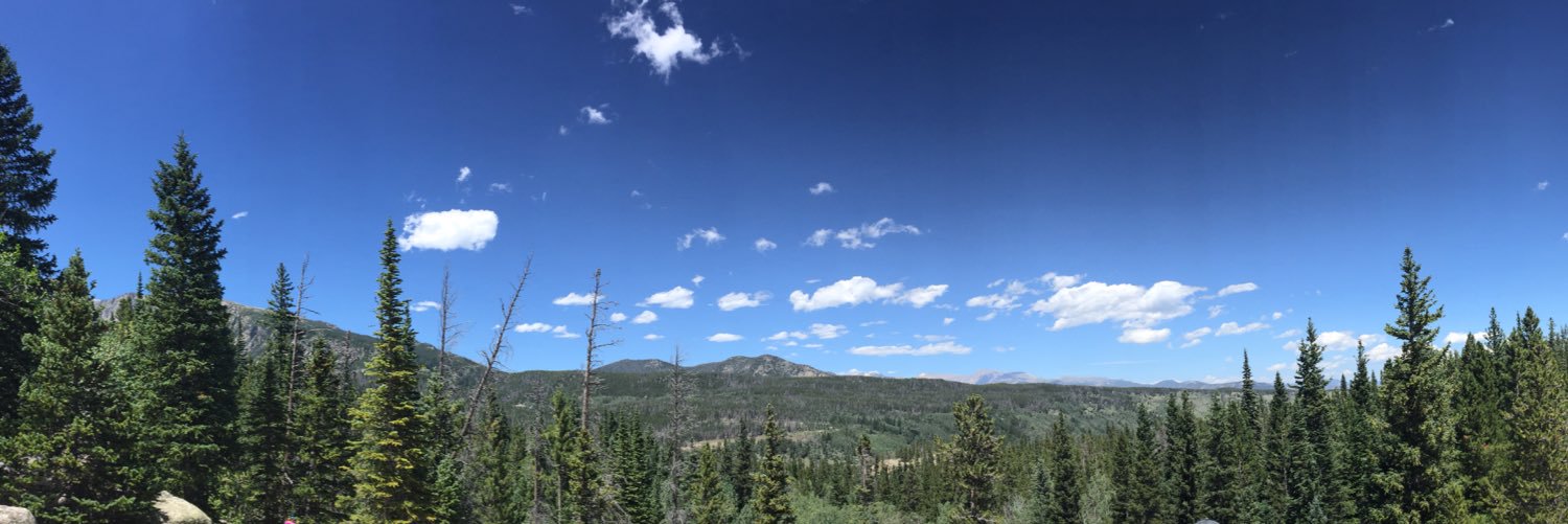 MaddieCruse's profile banner image