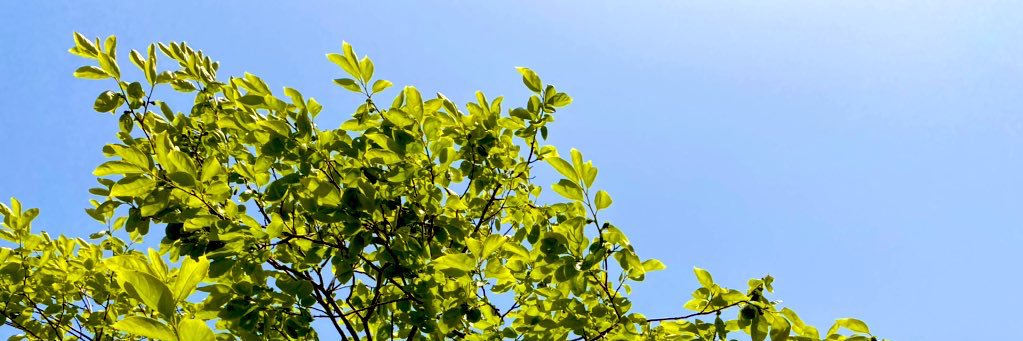 hrtk1206's profile banner image