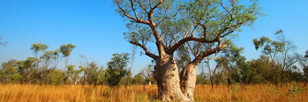 MarkGlasson Profile Banner