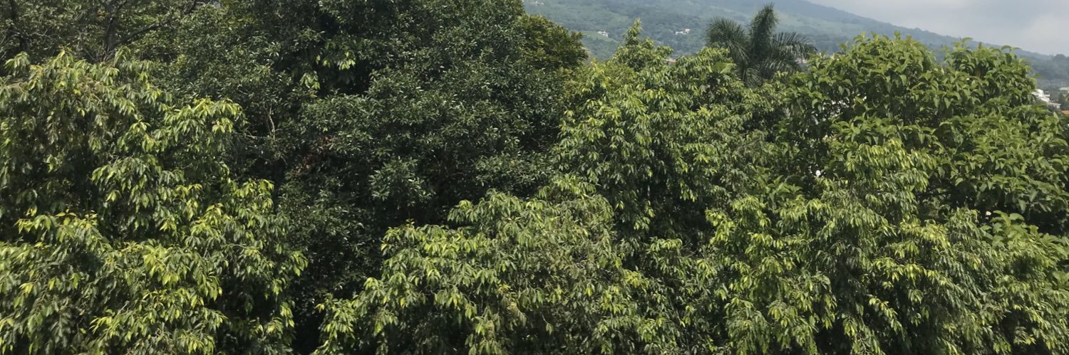 danielmilla01's profile banner image