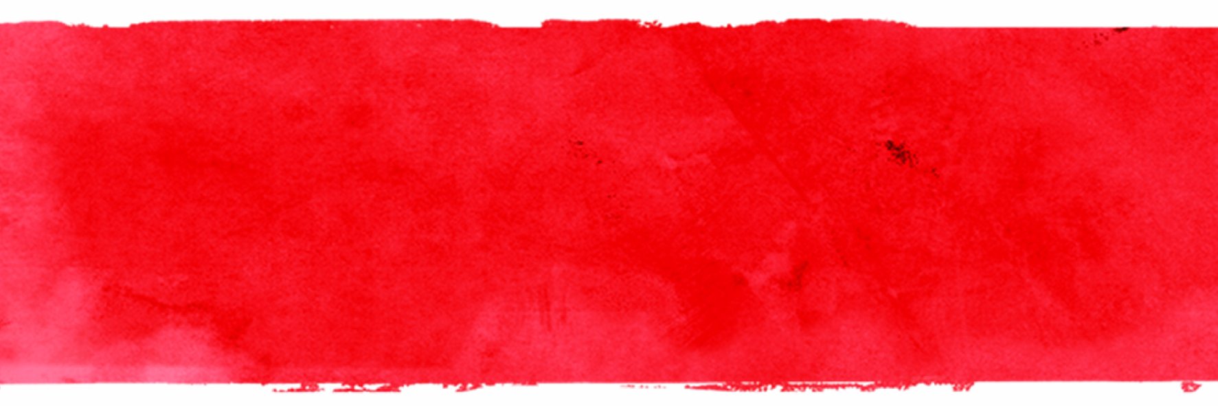 Wise Guys banner